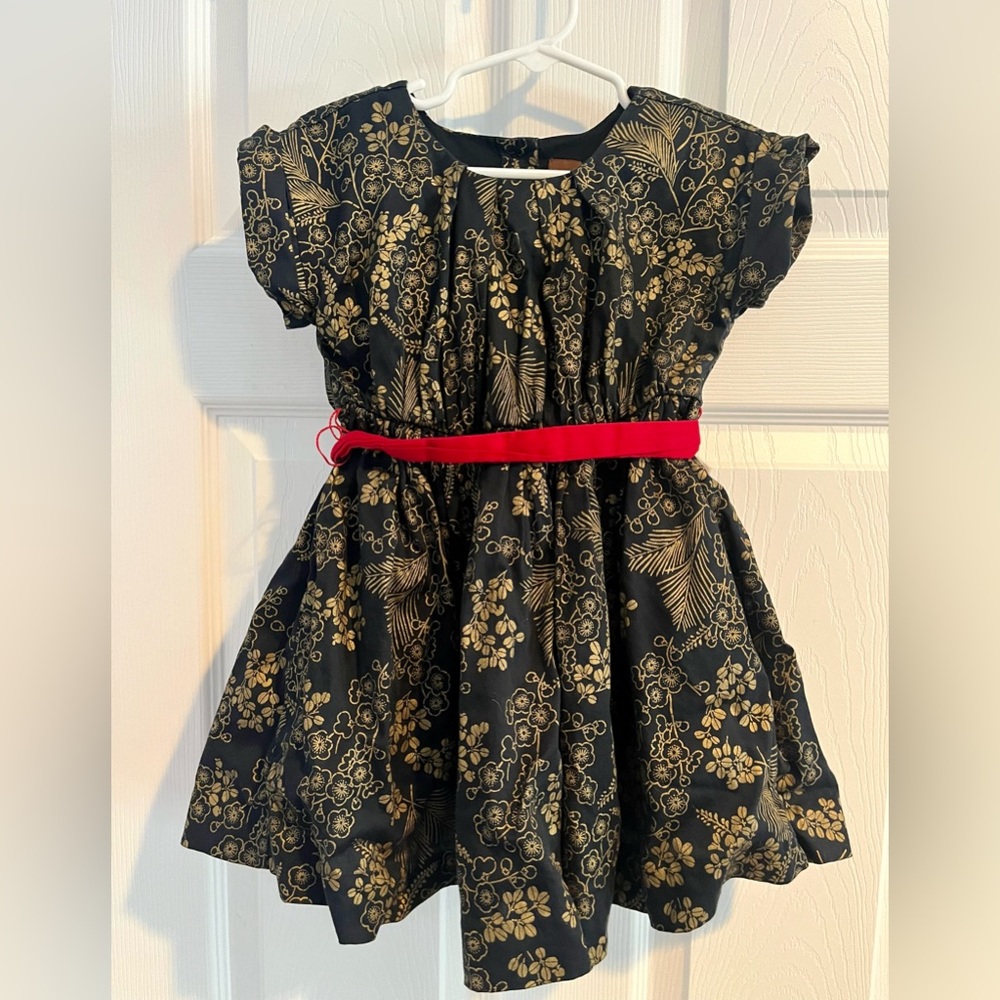 Tea Collection Party Dress. EUC. 3T.